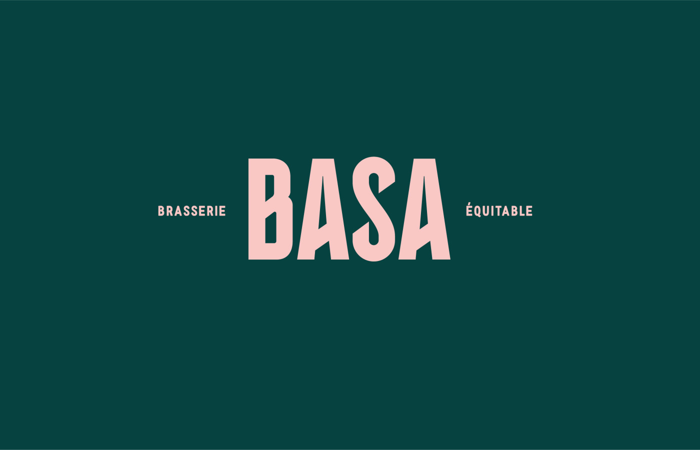 logo-basa-bayonne-studio-waaz